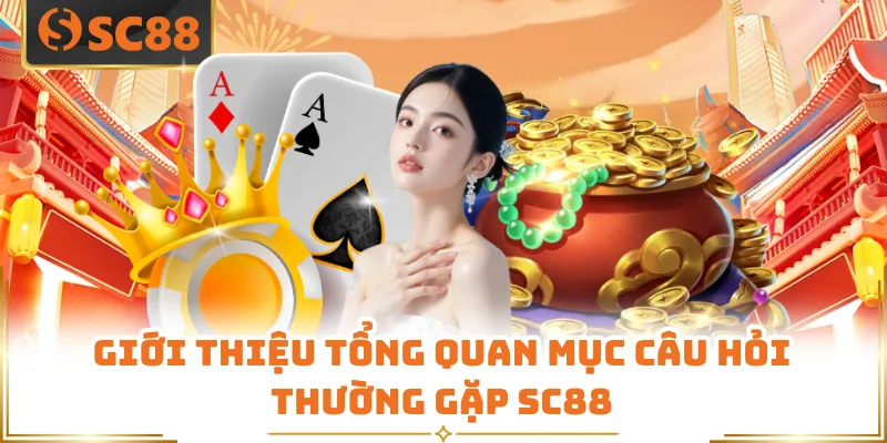 Câu Hỏi Thường Gặp - Tổng Hợp Giải Đáp Thắc Mắc SC88 4 Giới thiệu tổng quan mục câu hỏi thường gặp SC88